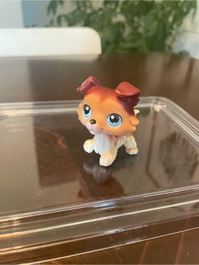 Authentic Littlest Pet Shop LPS Collie #58 Sage Bond Blue Eyes - Good Condition